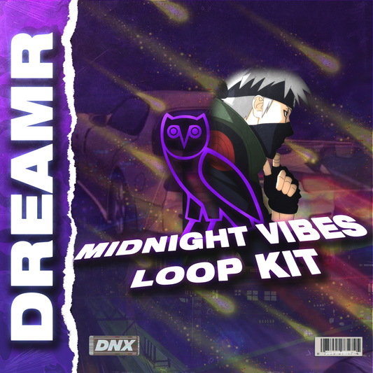 Midnight Vibes RnB Loop Kit